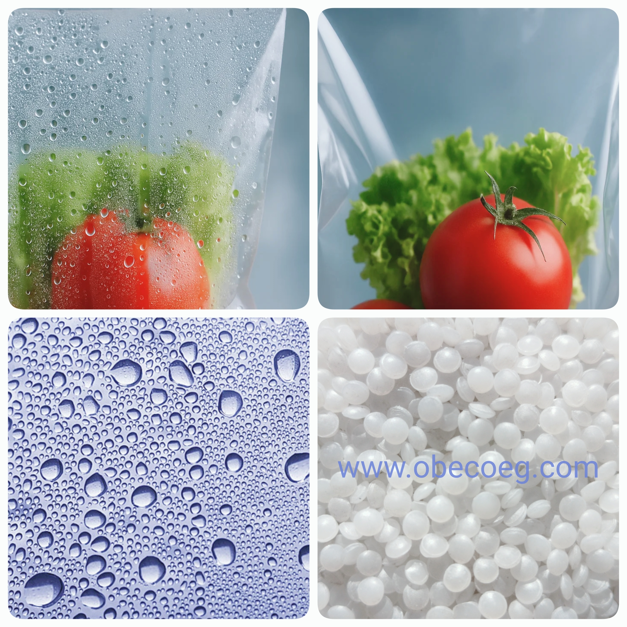 آنتي فوج - مضاد ضباب / شبورة